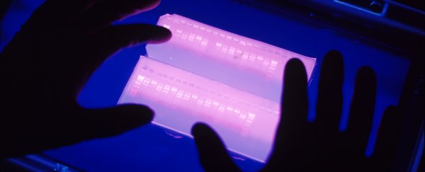 Huge project is now underway to sequence the genome of every complex species on Earth