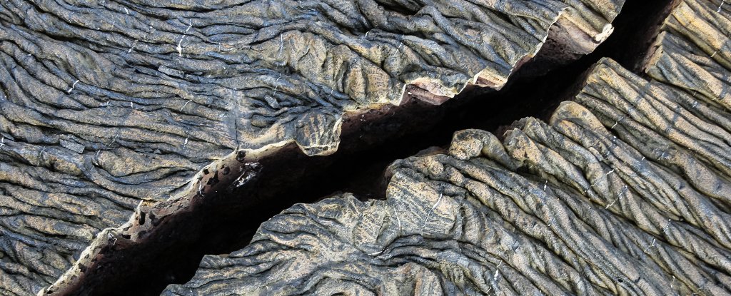 Wild New Paper Suggests Earth's Tectonic Activity Has an Unseen Source - ScienceAlert