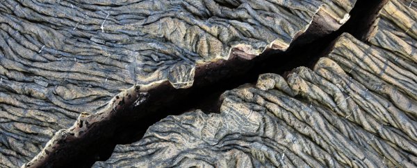 Wild new paper suggests Earth's tectonic activity has an unseen source