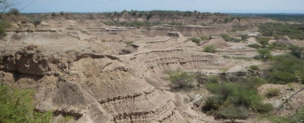The earliest unequivocal evidence of our species may be even older than we realized