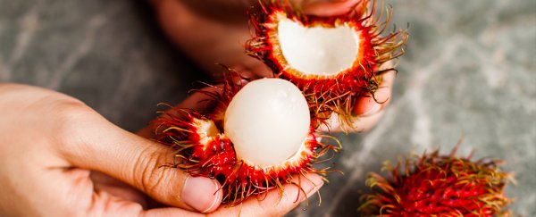 Why you should never quit fruit during a low-carb diet, according to science