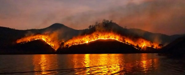 It's official: Last 9 years are now among 10 hottest ever recorded