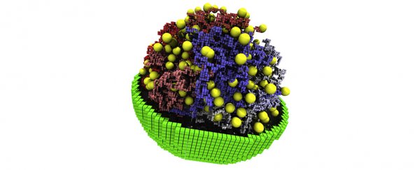 Bioengineers have modeled the workings of the world's most basic synthetic life form