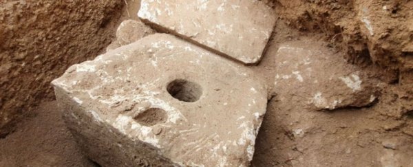 Ancient toilet reveals dangerous parasites once plagued Jerusalem's elite