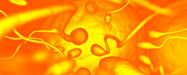 Heating up testicles with nanoparticles can work as male contraception. Here's how