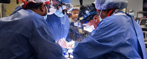 Surgeons implant pig heart into human patient in world-first case