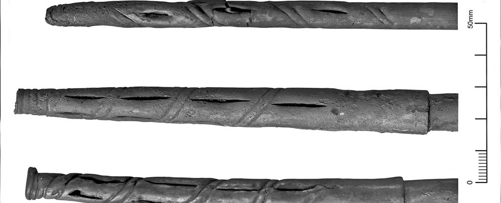 These Ornate 3-Foot-Long Tubes May Be The Oldest Known Straws