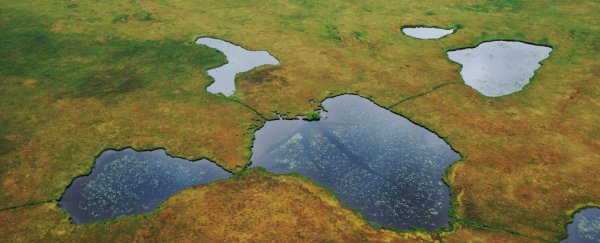 Thawing permafrost is poised to unleash havoc in the Arctic, scientists warn