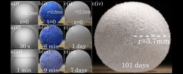 Physicists just smashed a record by keeping a bubble intact for over a year