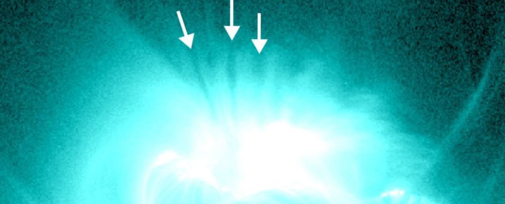 The Source of Ghostly Shadows in The Sun's Atmosphere Could Finally Be Identified