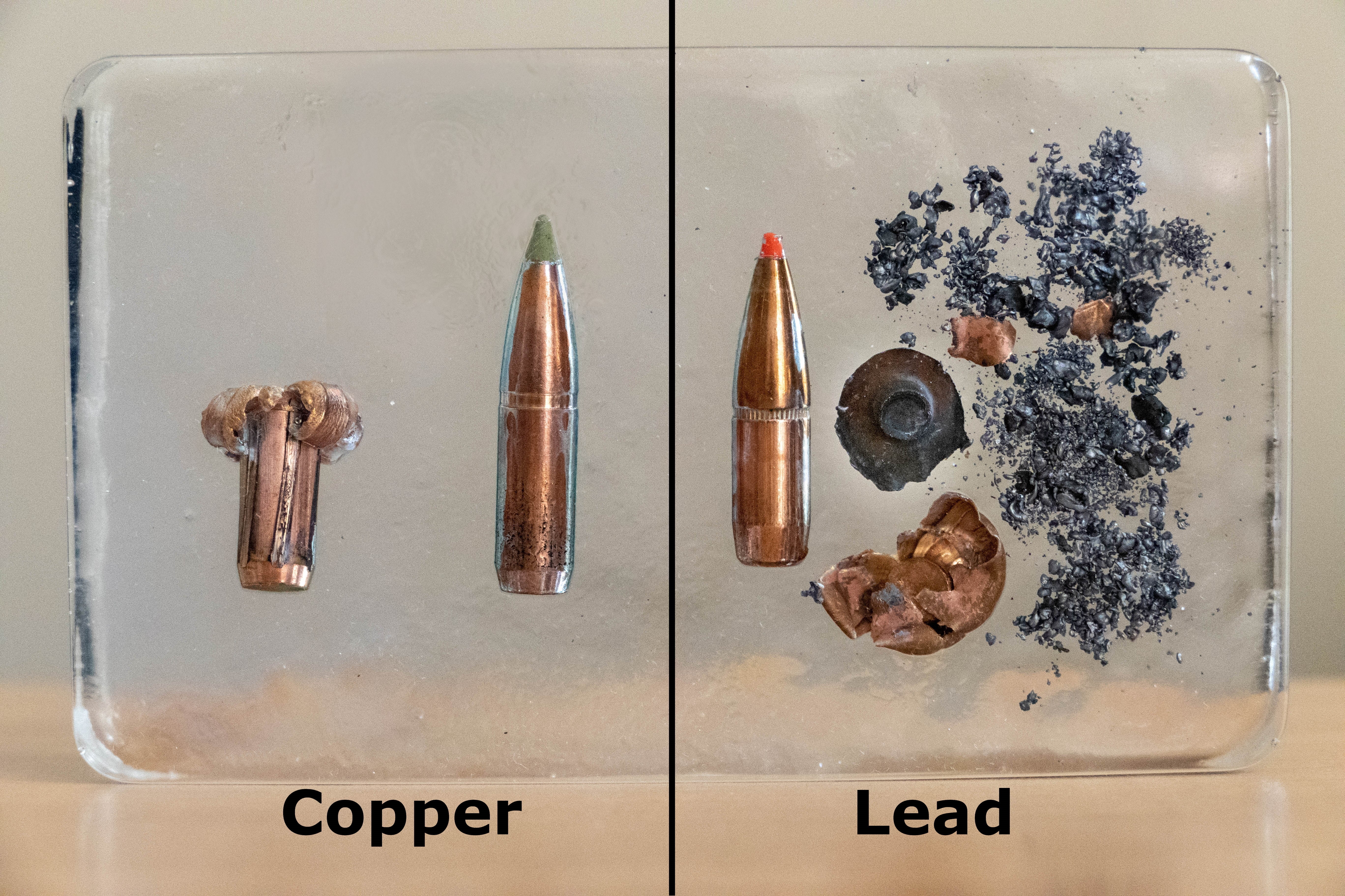 Tray showing an unexploded and exploded bullet side by side