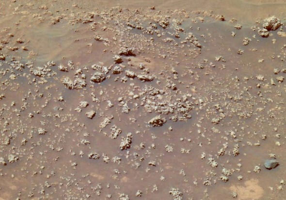 'Cauliflower'-shaped silica-rich rocks photographed by the Spirit Rover in 2008.