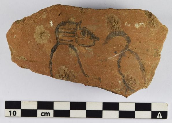 Huge Discovery of 18,000 ‘Notepads’ Documents Daily Life in Ancient Egypt