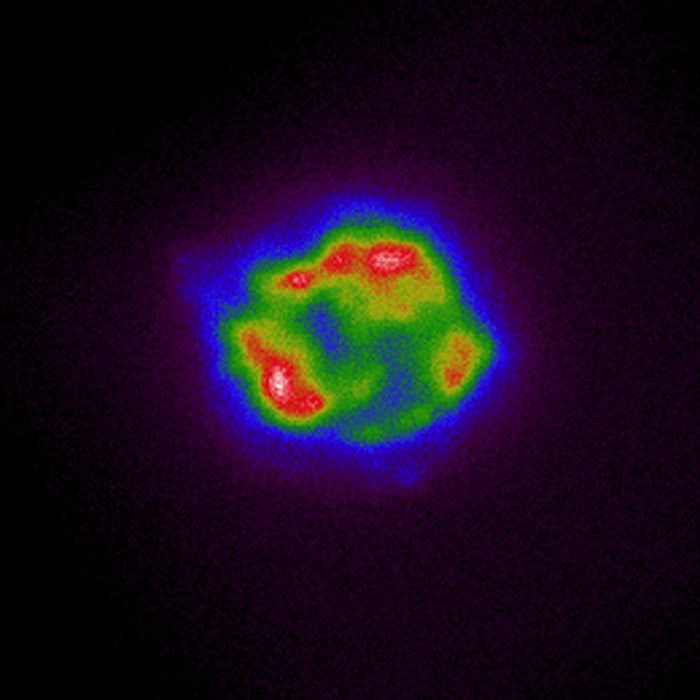 light intensity cas a