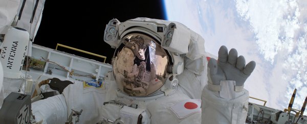 Signs of 'significant' brain rewiring have been found in space travelers