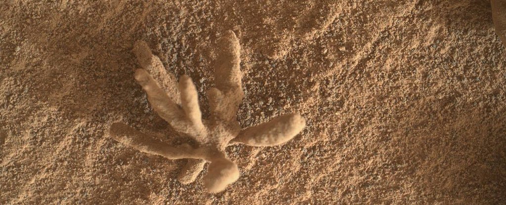 큐리오시티 로버(Curiosity Rover)는 화성에서 섬세하고 섬세한 금속성 “꽃”의 사진을 포착했습니다.