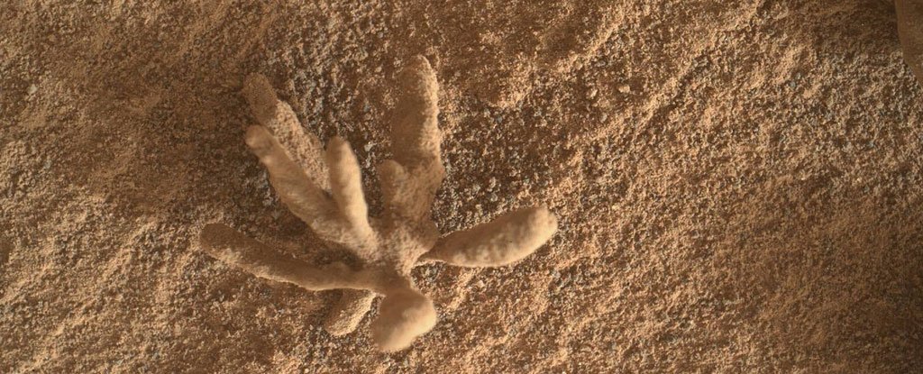 Curiosity Rover Snapped This Photo of a Tiny And Delicate Mineral 'Flower' on Mars - ScienceAlert