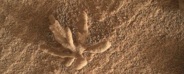 Curiosity rover snapped this photo of a tiny and delicate mineral 'flower' on Mars