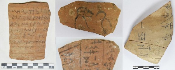Huge discovery of 18,000 'notepads' documents daily life in ancient Egypt