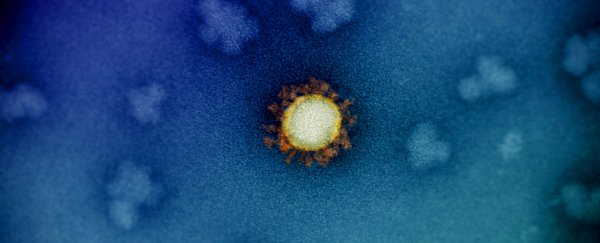 Strange evolutionary pace of SARS-CoV-2 mutations is finally revealed in new study