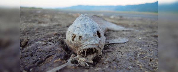 Extreme 'megadrought' gripping the US is like nothing seen in 1,200 years
