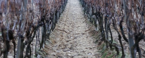 In one part of Europe, soil is rapidly degrading. It's a warning to us all