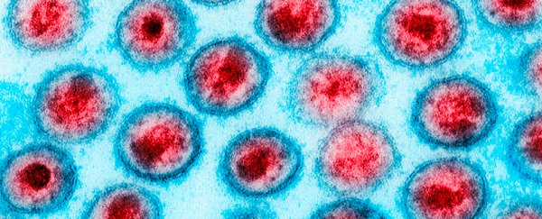 American Woman Appears To Be Entirely Cured of HIV After Unique Medical Treatment