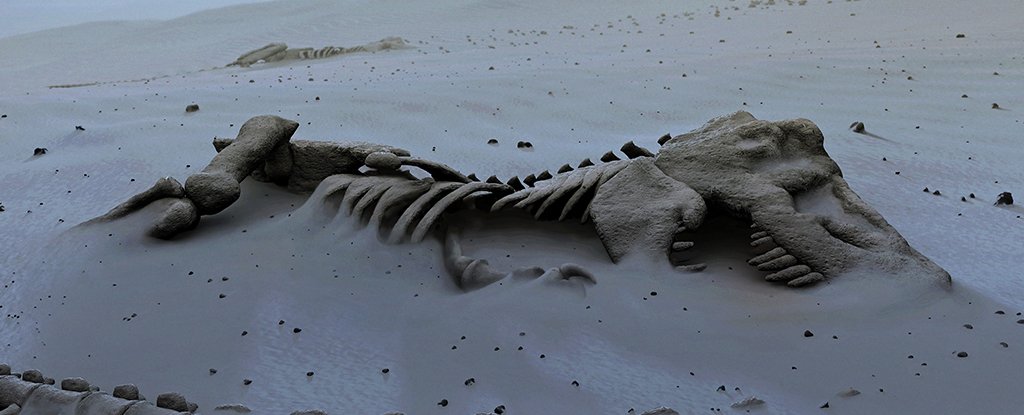 It Turns Out Species Can Go Extinct Twice... And The Second Time Is For Keeps : ScienceAlert It Turns Out Species Can Go Extinct Twice... And The Second Time Is For Keeps : ScienceAlert