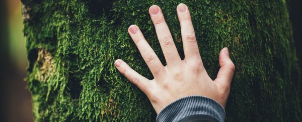 A love for nature may come from an unexpected place, finds large twin study