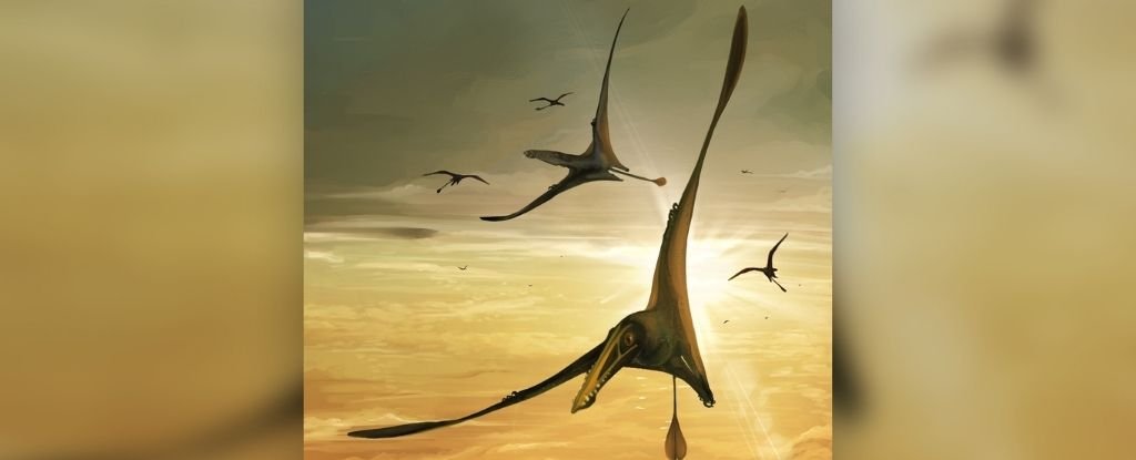 Scientists Unearth The Ancient Bones of The Largest Jurassic Pterosaur Ever Foun..