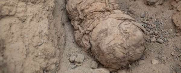 Mummified children found in Peru may have been a sacrificial escort to the underworld