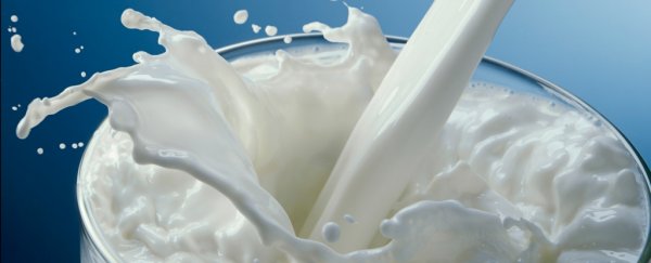 Don't drink milk? A nutritionist explains how to get calcium and other nutrients