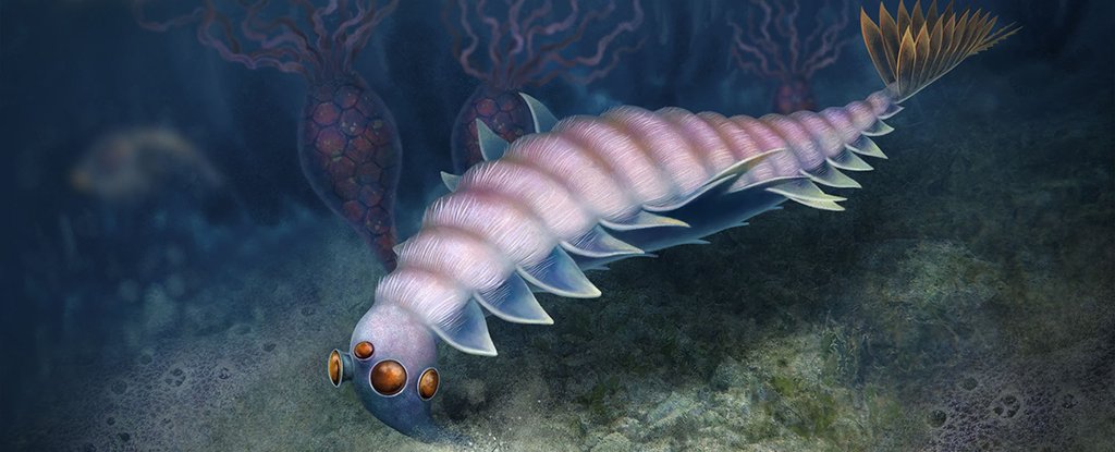 Weird, Extinct Animal Species Identified in First Such Finding in Over 100 Years : ScienceAlert Weird, Extinct Animal Species Identified in First Such Finding in Over 100 Years : ScienceAlert