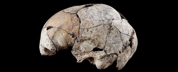 Gruesome skull discovery contains the earliest evidence of ear surgery