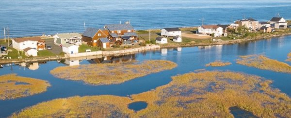 A new study has found the year when sea level rise truly began accelerating