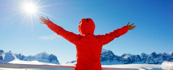 It must be incredible to visit Antarctica. Here's why you shouldn't