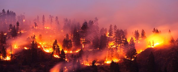 13,000 years ago, a firestorm covered 10% of Earth's surface, triggering an ice age