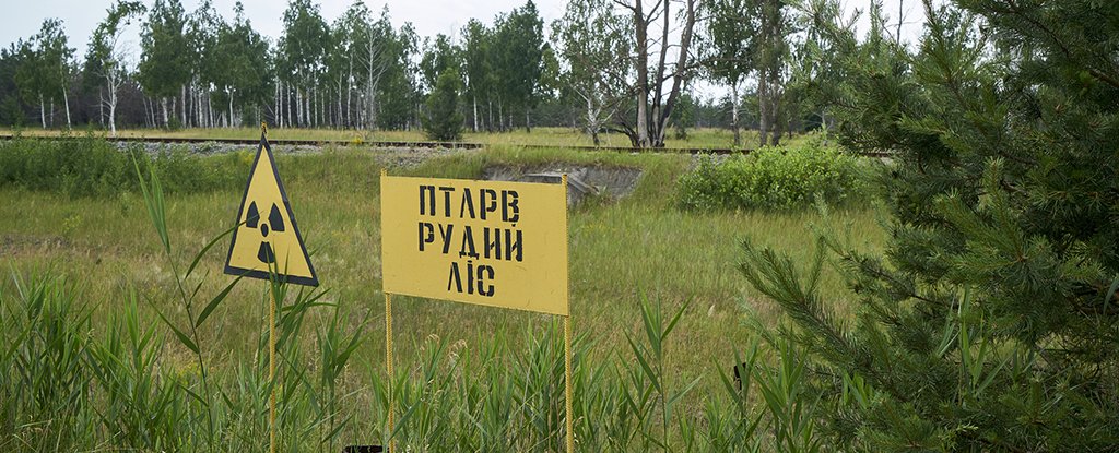 Chernobyl Power Plant Captured by Russia, Leading to Fears of Radioactive Waste ..