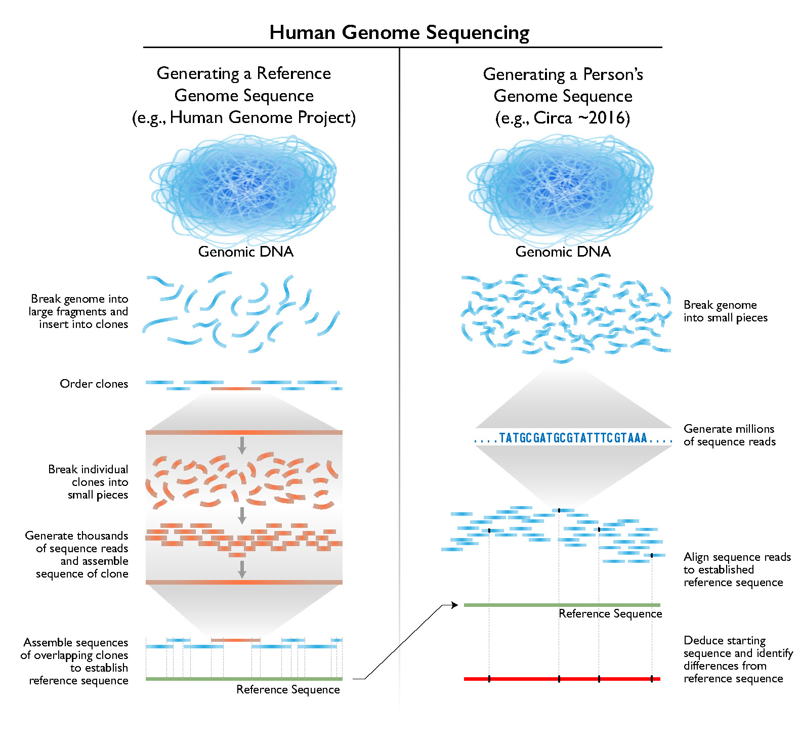 HumanGenomeSequencingMethodsCirca2016