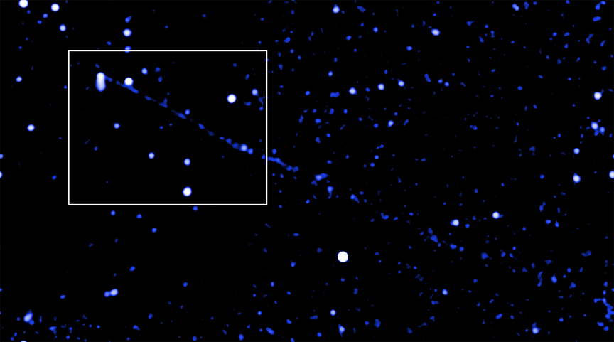 A black field of blue stars with a faint blue stream visible streaking diagonally