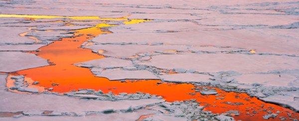 sunset reflection glows red between patchy sea ice