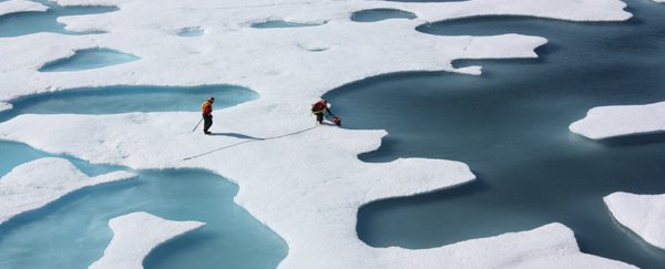 Arctic ice already thinning at a 'frightening rate', satellites reveal