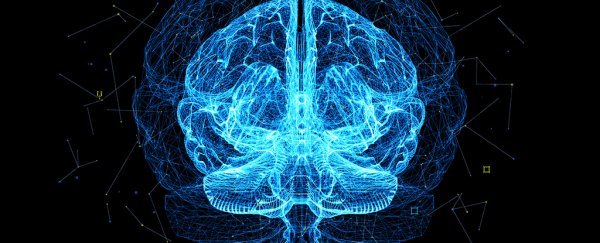 Neuroscientists find two types of brain cells that help us make memories