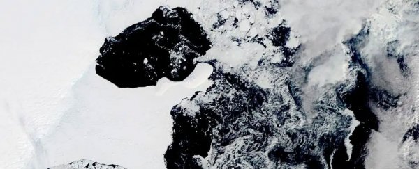 In an unexpected first, an ice shelf in Antarctica's "coldest region" has collapsed