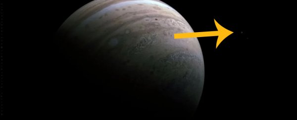 There's a stunning detail lurking in Juno's latest pic of Jupiter