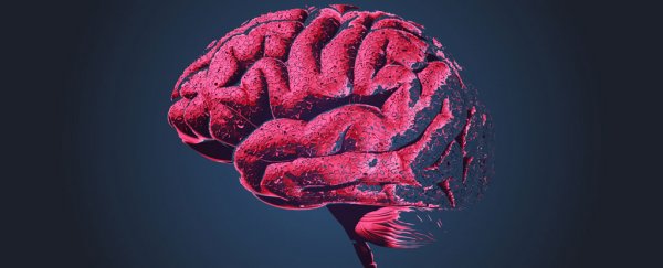 Mice study reveals a new method to unlock the blood-brain barrier