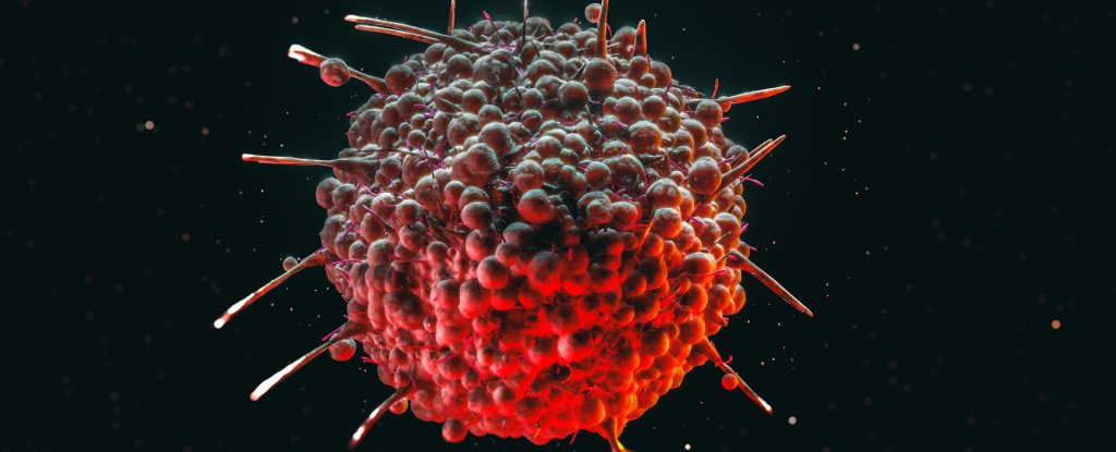 El tratamiento de la hepatitis previene el progreso de un cáncer de sangre común: Heaven32