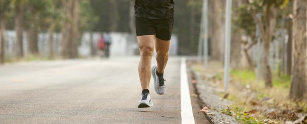 Does regular exercise change your Achilles tendon? New twin study finally has answers