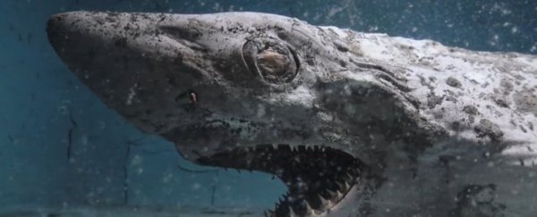 Footage from an abandoned aquarium looks like it's straight out of a horror film