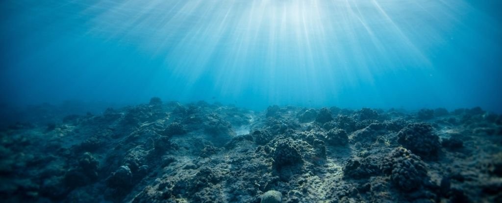 Photo of Une nouvelle théorie suggère que les microbes et les minéraux des océans pourraient contenir de l’oxygène terrestre